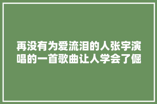 再没有为爱流泪的人张宇演唱的一首歌曲让人学会了倔强