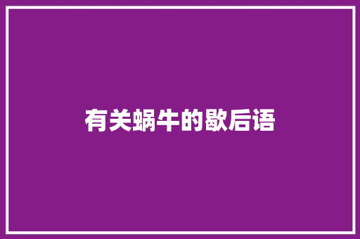有关蜗牛的歇后语