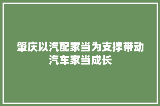 肇庆以汽配家当为支撑带动汽车家当成长