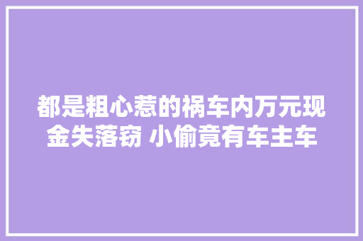 都是粗心惹的祸车内万元现金失落窃 小偷竟有车主车钥匙