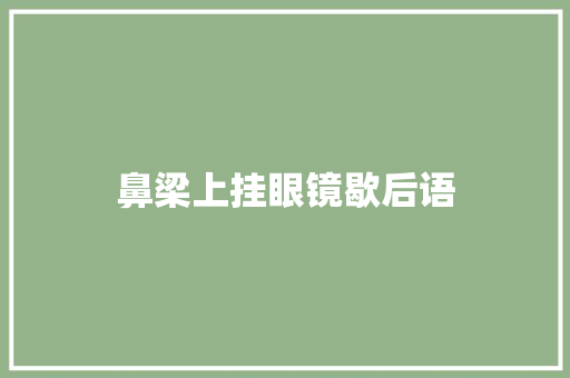 鼻梁上挂眼镜歇后语