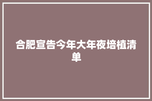 合肥宣告今年大年夜培植清单