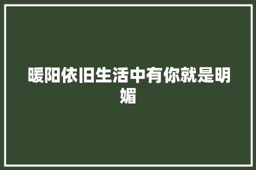 暖阳依旧生活中有你就是明媚