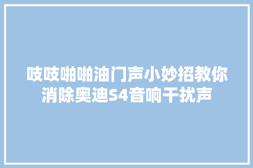 吱吱啪啪油门声小妙招教你消除奥迪S4音响干扰声