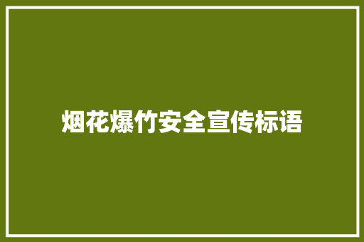 烟花爆竹安全宣传标语
