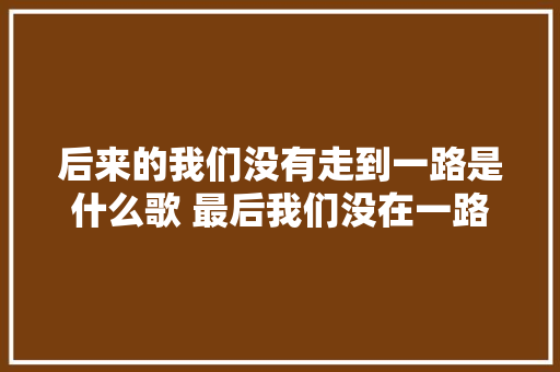 后来的我们没有走到一路是什么歌 最后我们没在一路歌词介绍