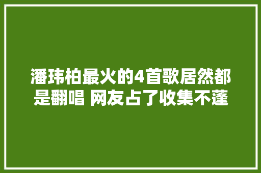 潘玮柏最火的4首歌居然都是翻唱 网友占了收集不蓬勃的红利