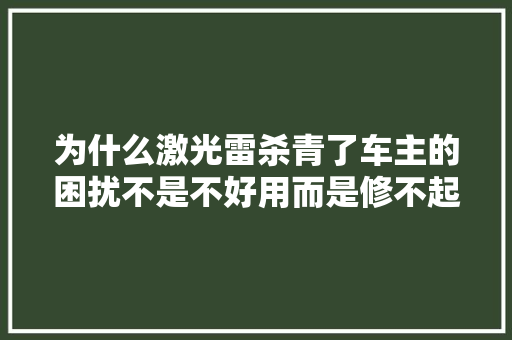 为什么激光雷杀青了车主的困扰不是不好用而是修不起 汽车知识