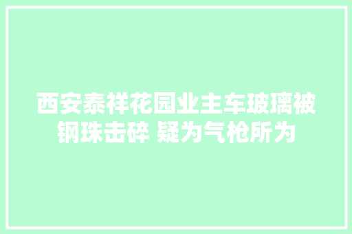 西安泰祥花园业主车玻璃被钢珠击碎 疑为气枪所为