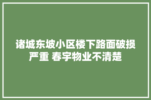 诸城东坡小区楼下路面破损严重 春宇物业不清楚