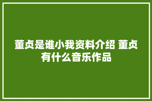 董贞是谁小我资料介绍 董贞有什么音乐作品