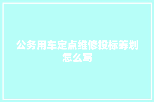 公务用车定点维修投标筹划怎么写
