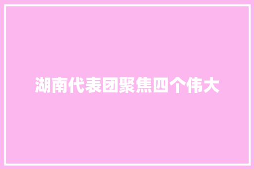湖南代表团聚焦四个伟大