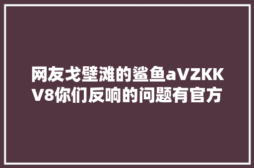 网友戈壁滩的鲨鱼aVZKKV8你们反响的问题有官方回答了