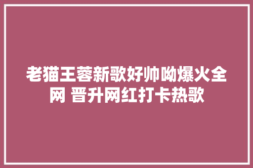 老猫王蓉新歌好帅呦爆火全网 晋升网红打卡热歌 休闲娱乐