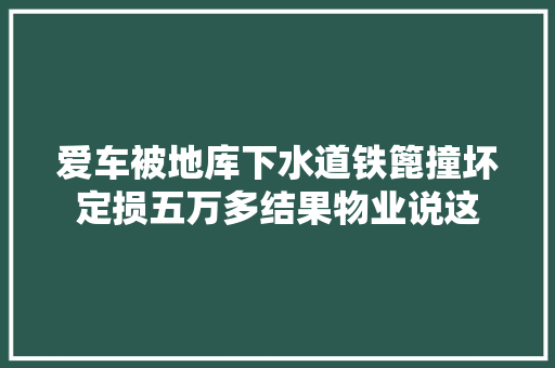 爱车被地库下水道铁篦撞坏定损五万多结果物业说这