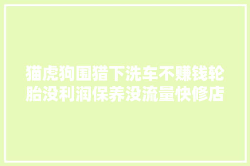 猫虎狗围猎下洗车不赚钱轮胎没利润保养没流量快修店该咋办