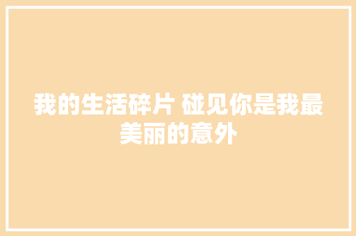 我的生活碎片 碰见你是我最美丽的意外