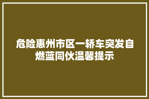 危险惠州市区一轿车突发自燃蓝同伙温馨提示
