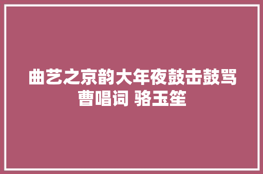 曲艺之京韵大年夜鼓击鼓骂曹唱词 骆玉笙