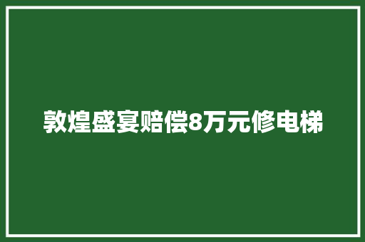 敦煌盛宴赔偿8万元修电梯