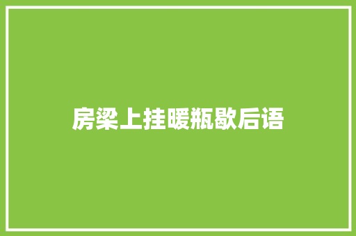 房梁上挂暖瓶歇后语