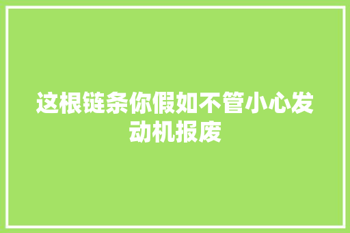 这根链条你假如不管小心发动机报废