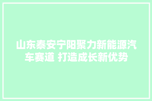 山东泰安宁阳聚力新能源汽车赛道 打造成长新优势
