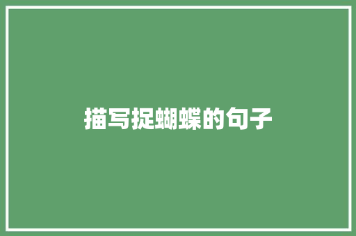 描写捉蝴蝶的句子