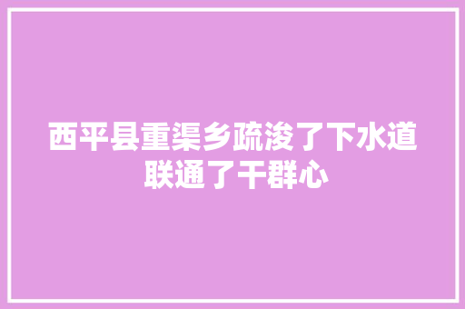西平县重渠乡疏浚了下水道 联通了干群心
