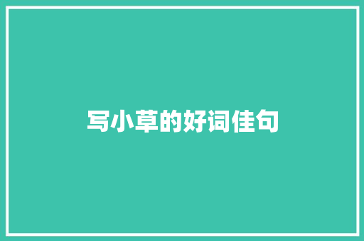 写小草的好词佳句