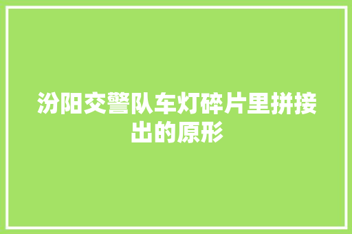 汾阳交警队车灯碎片里拼接出的原形