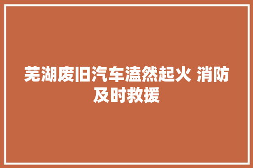 芜湖废旧汽车溘然起火 消防及时救援 汽车知识