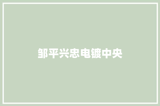 邹平兴忠电镀中央