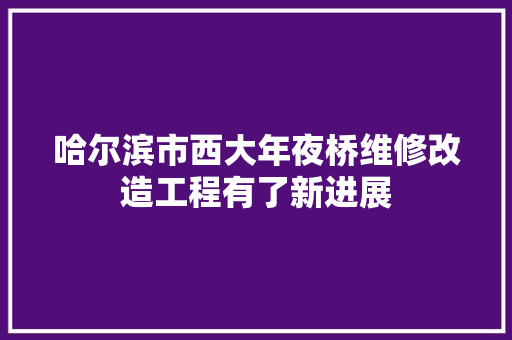 哈尔滨市西大年夜桥维修改造工程有了新进展