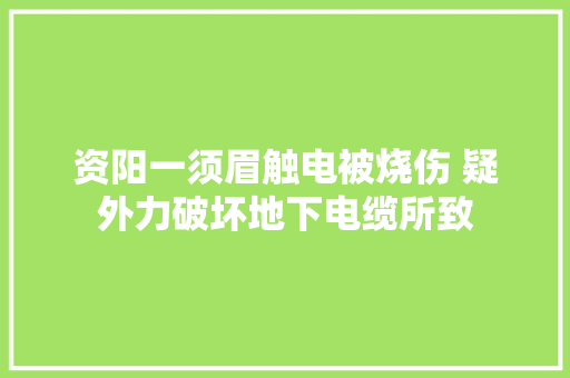 资阳一须眉触电被烧伤 疑外力破坏地下电缆所致