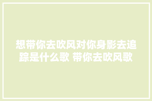 想带你去吹风对你身影去追踪是什么歌 带你去吹风歌词