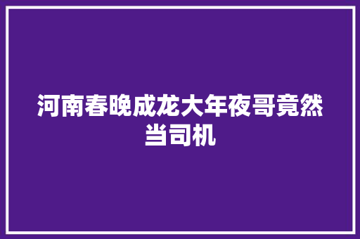 河南春晚成龙大年夜哥竟然当司机