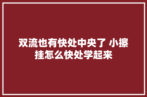 双流也有快处中央了 小擦挂怎么快处学起来
