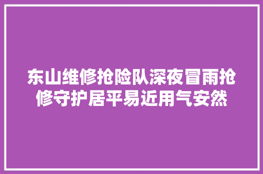 东山维修抢险队深夜冒雨抢修守护居平易近用气安然