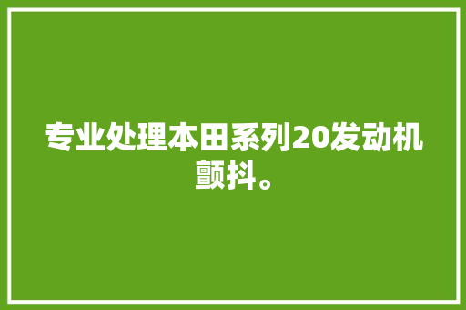专业处理本田系列20发动机颤抖。