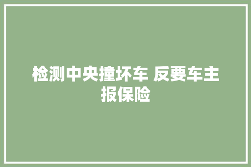 检测中央撞坏车 反要车主报保险