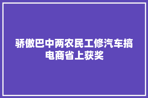 骄傲巴中两农民工修汽车搞电商省上获奖