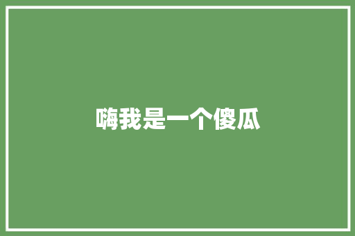 嗨我是一个傻瓜