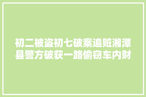 初二被盗初七破案追赃湘潭县警方破获一路偷窃车内财物案
