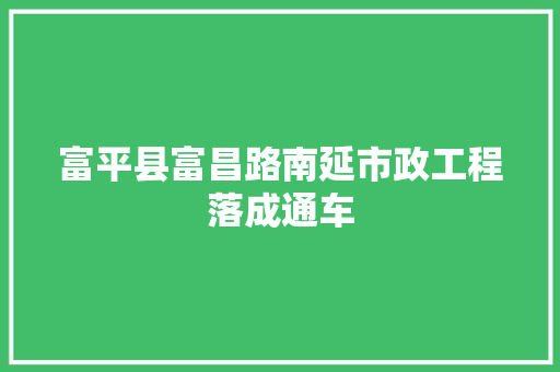 富平县富昌路南延市政工程落成通车