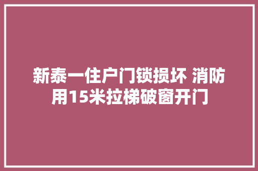 新泰一住户门锁损坏 消防用15米拉梯破窗开门
