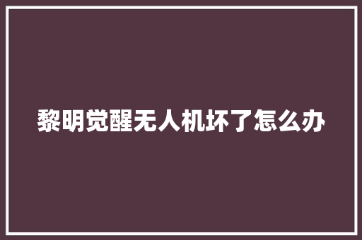 黎明觉醒无人机坏了怎么办