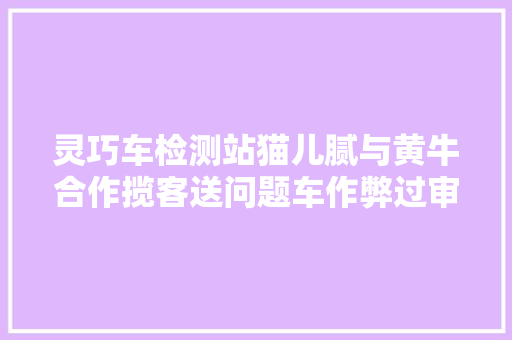 灵巧车检测站猫儿腻与黄牛合作揽客送问题车作弊过审