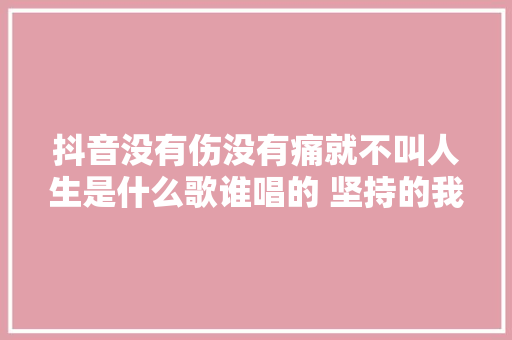 抖音没有伤没有痛就不叫人生是什么歌谁唱的 坚持的我们歌词介绍